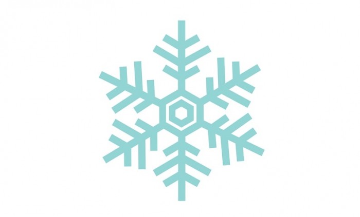 Snowflake frozen twins